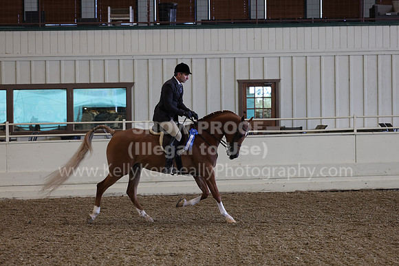 AHANC23_Wed_0433