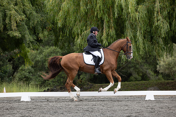 FFDressage23-1899