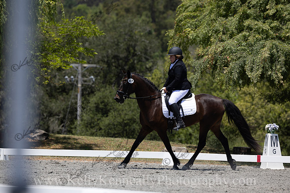 FFDressage23-00240