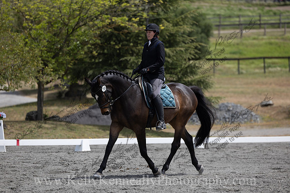 FFDressage23-2496
