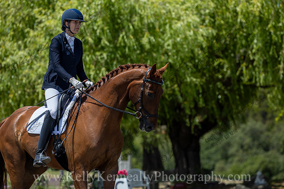 FFDressage23-3954