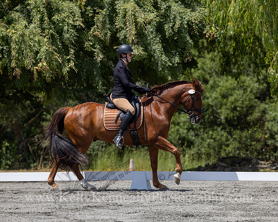 FFDressage23-4752