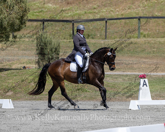 FFDressage23-5668