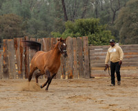 SamsonFall26_0061