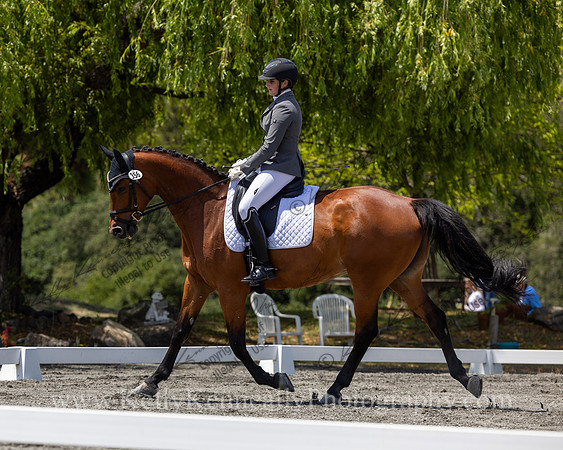 FFDressage23-4190