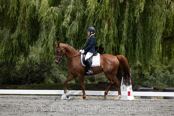 FFDressage23-2126