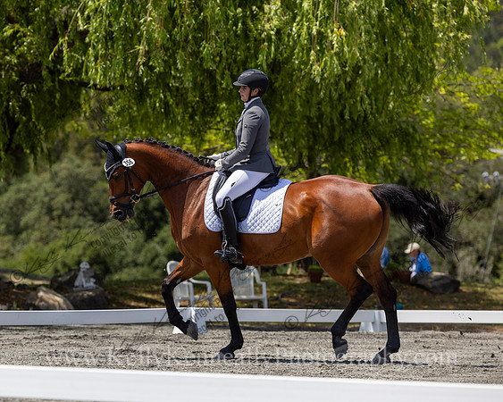FFDressage23-4185