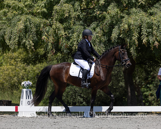 FFDressage23-00234