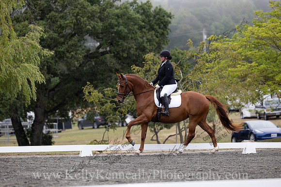 FFDressage23-1404
