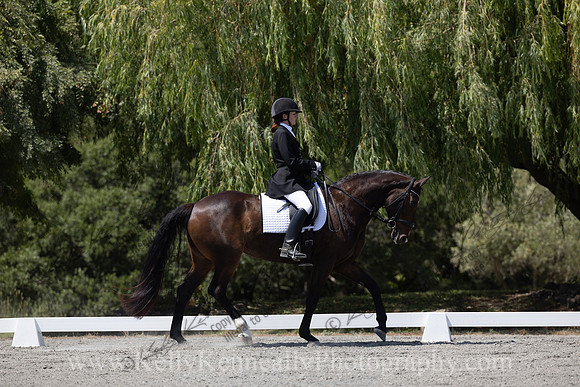 FFDressage23-00305