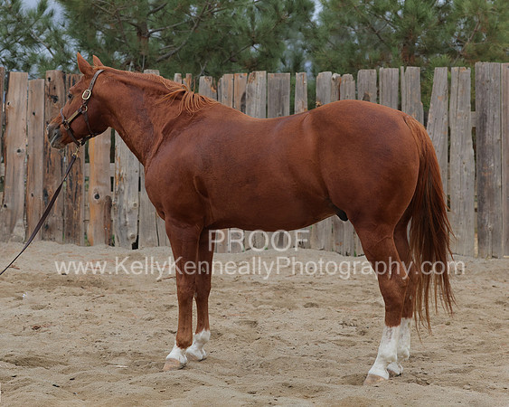 DocFall26_6152-Edit