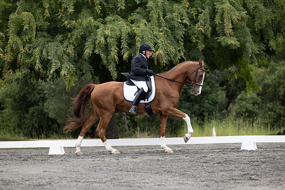 FFDressage23-1887