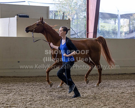 PacSlopeCh23_Fri_7402