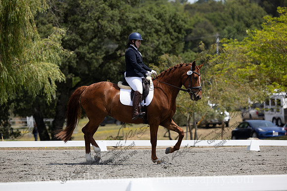 FFDressage23-00172