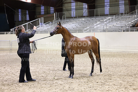 AHANC23_Wed_3009