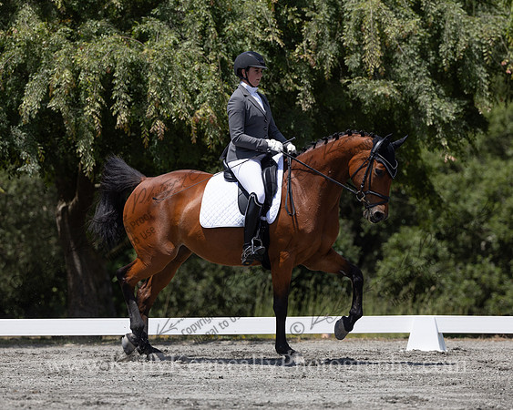 FFDressage23-4270