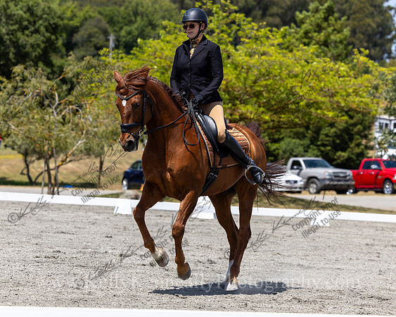FFDressage23-4857