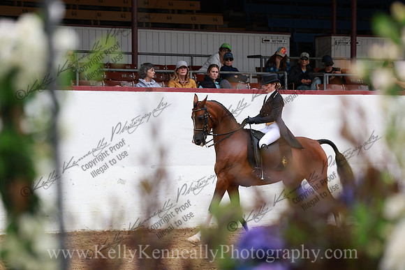 R2CH23_Thurs_6587