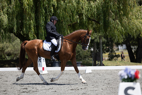 FFDressage23-00190