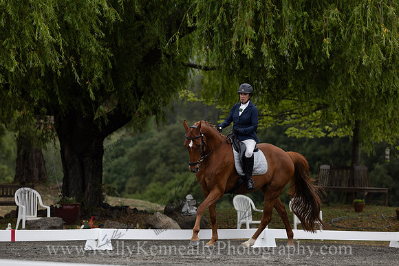 FFDressage23-1104