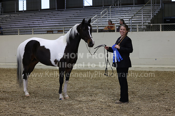 AHANC23_Wed_2911