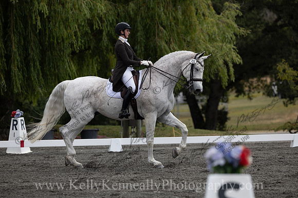 FFDressage23-00116