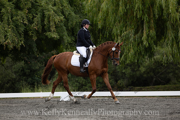 FFDressage23-1350