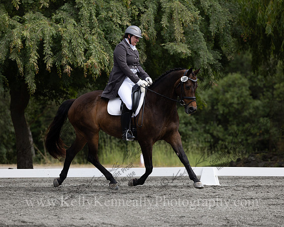 FFDressage23-00129