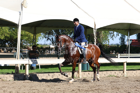 DAHA_FF22_0313