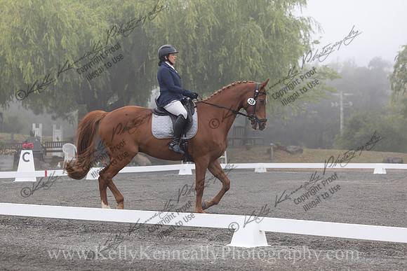 FFDressage23-0011