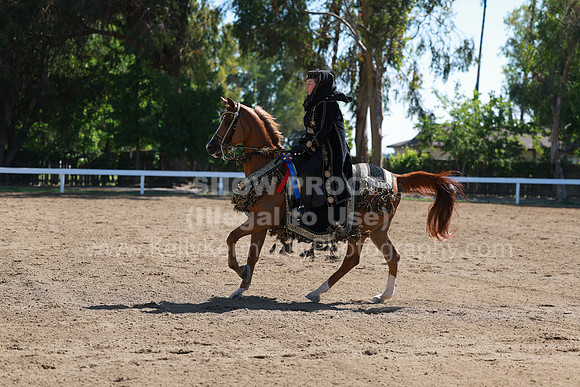 DAHA23_Sun_8820