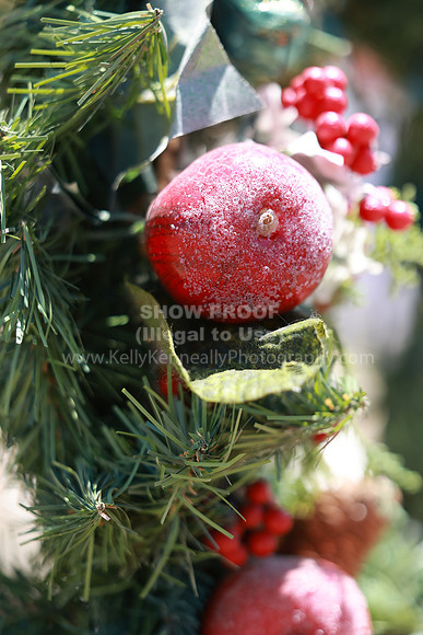 DAHA23_Fri_1039