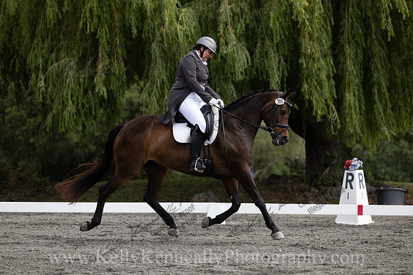 FFDressage23-00131