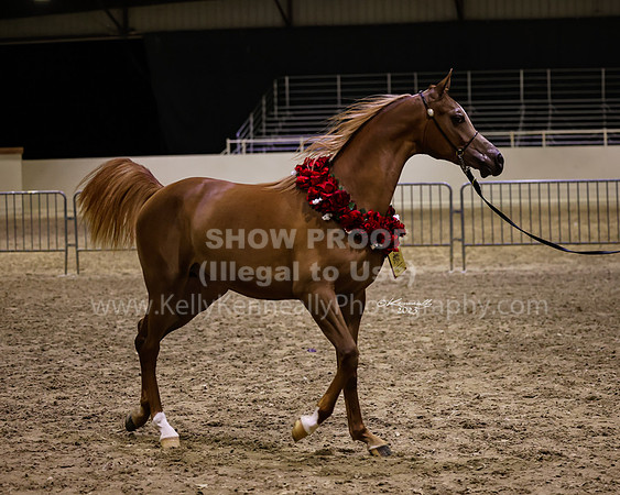 AHANC23_Wed_3228fb