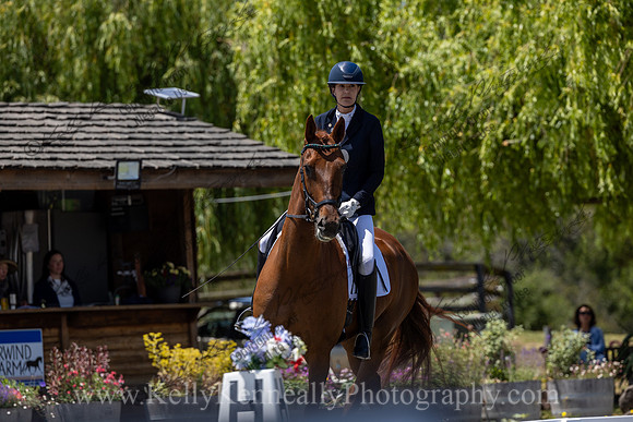 FFDressage23-3935