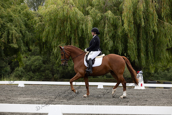 FFDressage23-1268