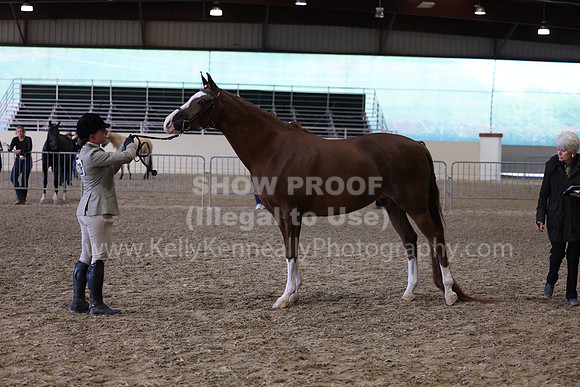 AHANC23_Wed_2814