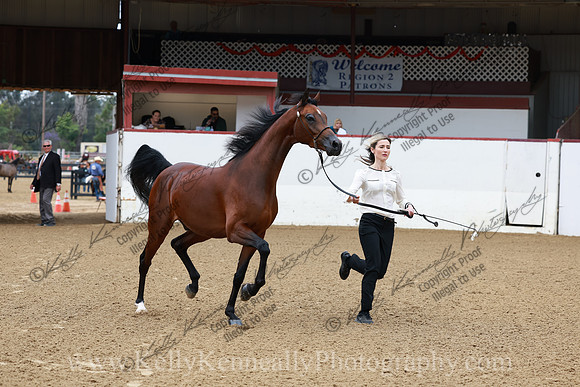 R2CH23_Thurs_0373
