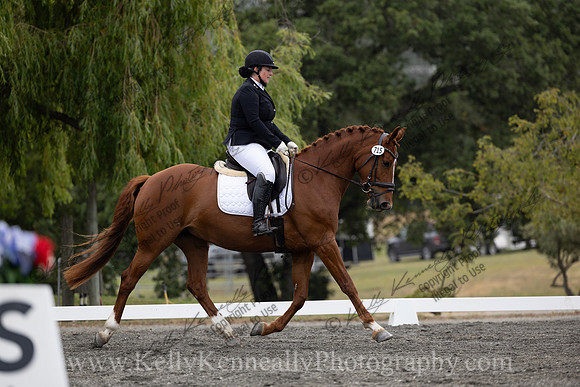 FFDressage23-1375