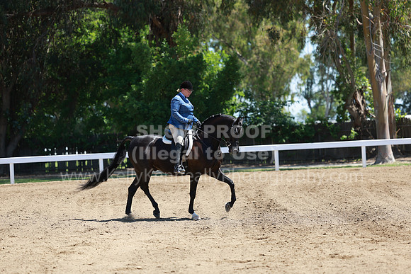 DAHA23_Sun_8940