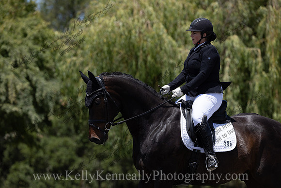 FFDressage23-3791