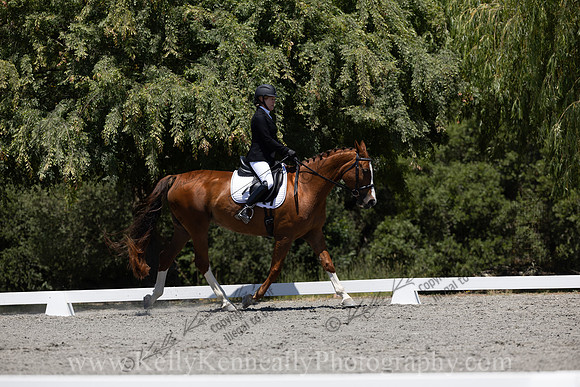 FFDressage23-00246