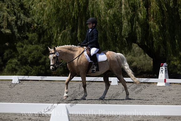 FFDressage23-00291