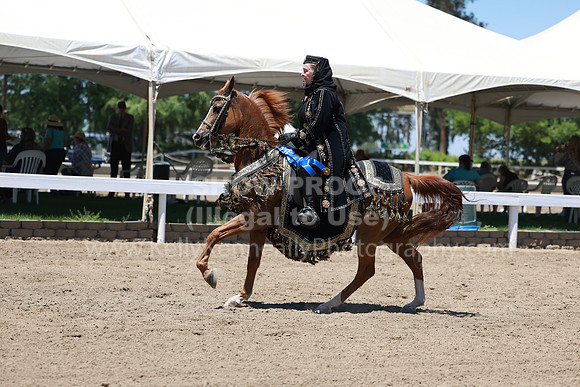DAHA23_Fri_1454