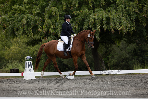FFDressage23-1335