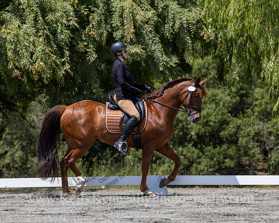 FFDressage23-4659