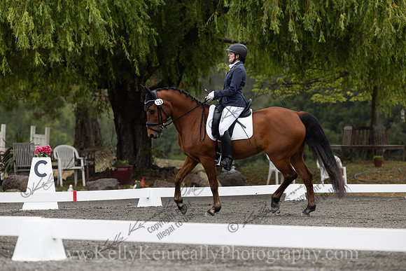 FFDressage23-00042