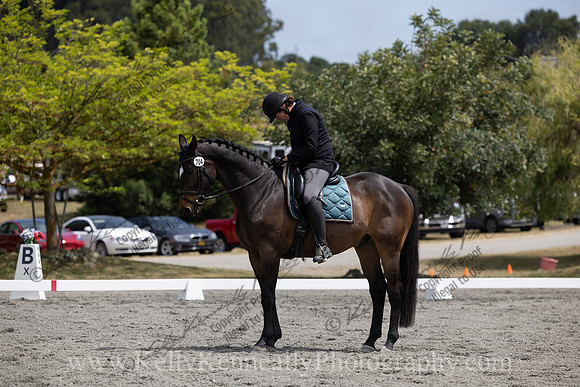 FFDressage23-2499