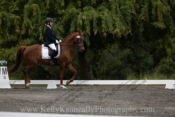 FFDressage23-0789