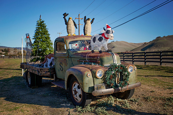 ShermanRanch2015_0007